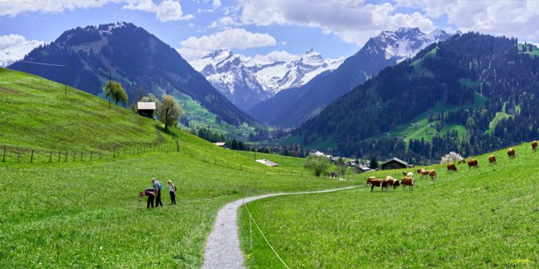 Best Hikes in Gstaad